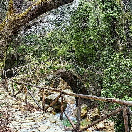 Corali فندق كيمي