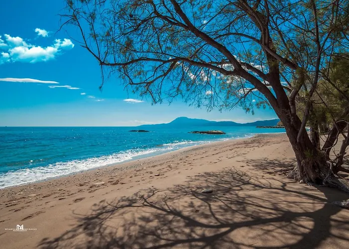 Ξενοδοχείο κοράλι